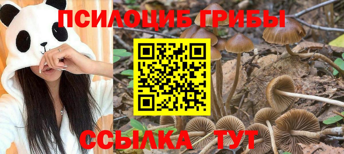 Галлюциногенные грибы Magic Shrooms Владимир